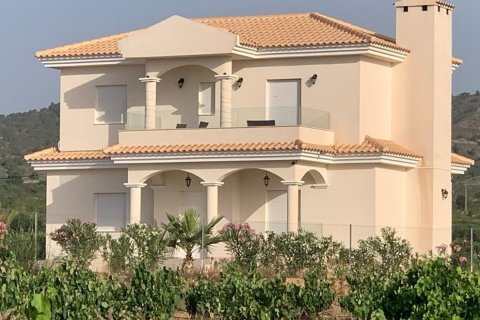 Villa for sale Pinoso, Alicante, Spain 4 bedrooms, 150 sq.m. No. 114026 - photo 21
