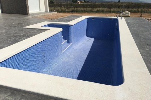 Villa for sale Pinoso, Alicante, Spain 3 bedrooms, 145 sq.m. No. 114020 - photo 23