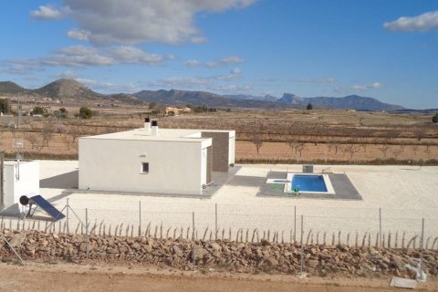 Villa for sale Pinoso, Alicante, Spain 3 bedrooms, 145 sq.m. No. 114020 - photo 19