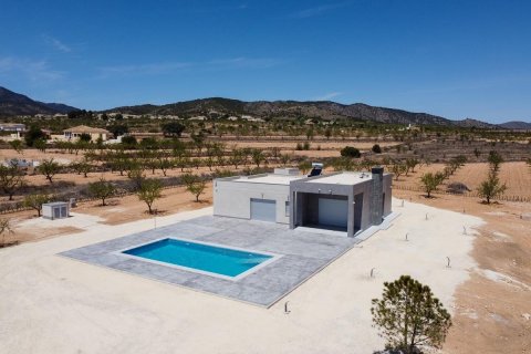 Villa for sale Pinoso, Alicante, Spain 3 bedrooms, 145 sq.m. No. 114020 - photo 24