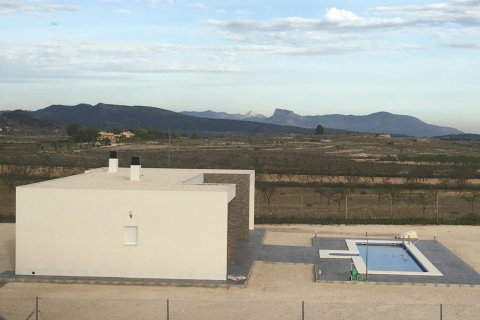 Villa for sale Pinoso, Alicante, Spain 3 bedrooms, 145 sq.m. No. 114020 - photo 20