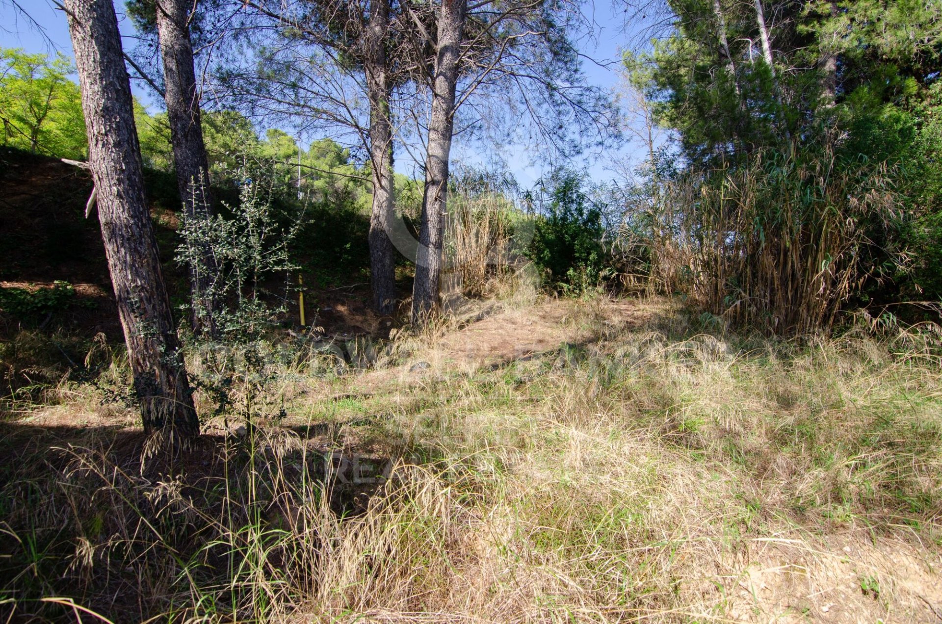 Tontti Cerdanyola Del Valles, Barcelona, Espanja 1000 m2 No. 179110