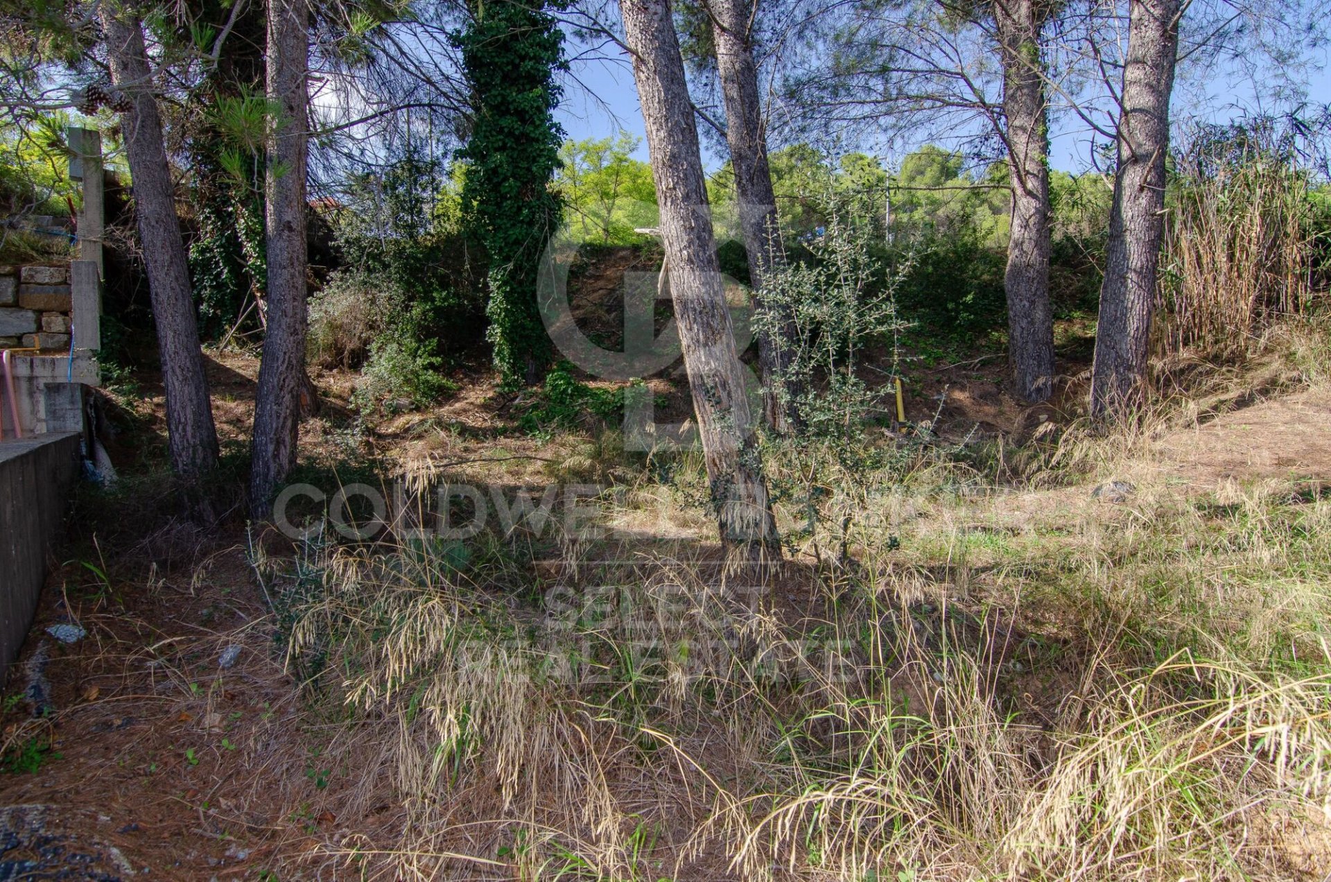 Tontti Cerdanyola Del Valles, Barcelona, Espanja 1000 m2 No. 179110