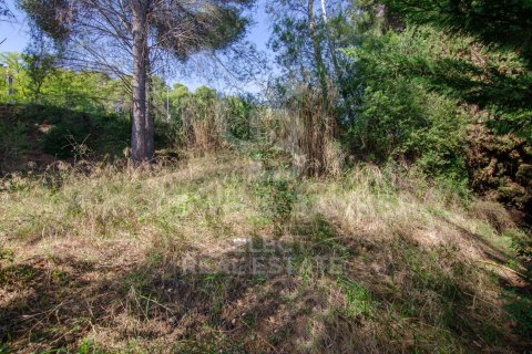 Tontti myytävänä Cerdanyola Del Valles, Barcelona, Espanja , 1000 m2 No. 179110 - kuva 10