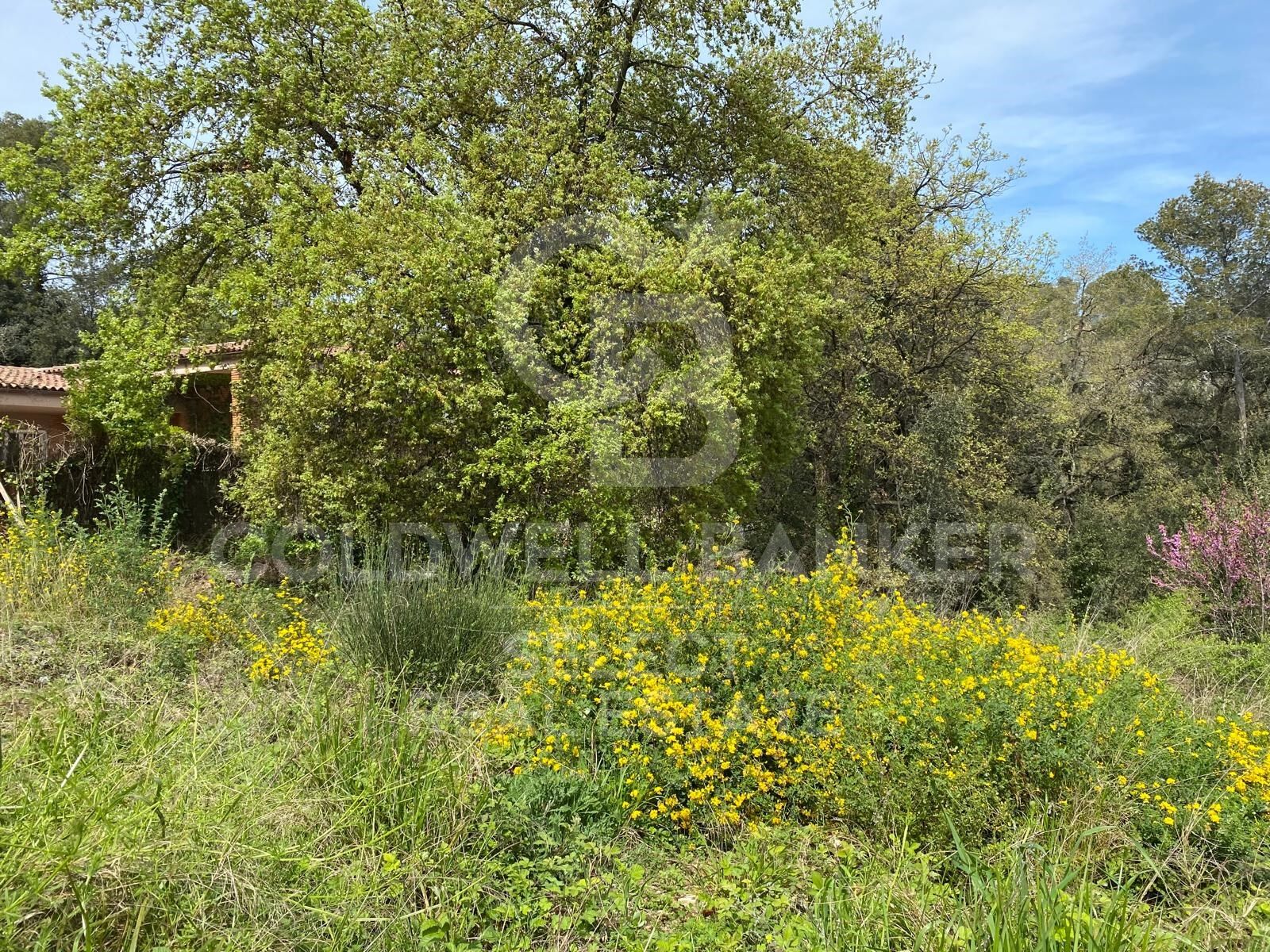 Tontti Cerdanyola Del Valles, Barcelona, Espanja 1065 m2 No. 179106