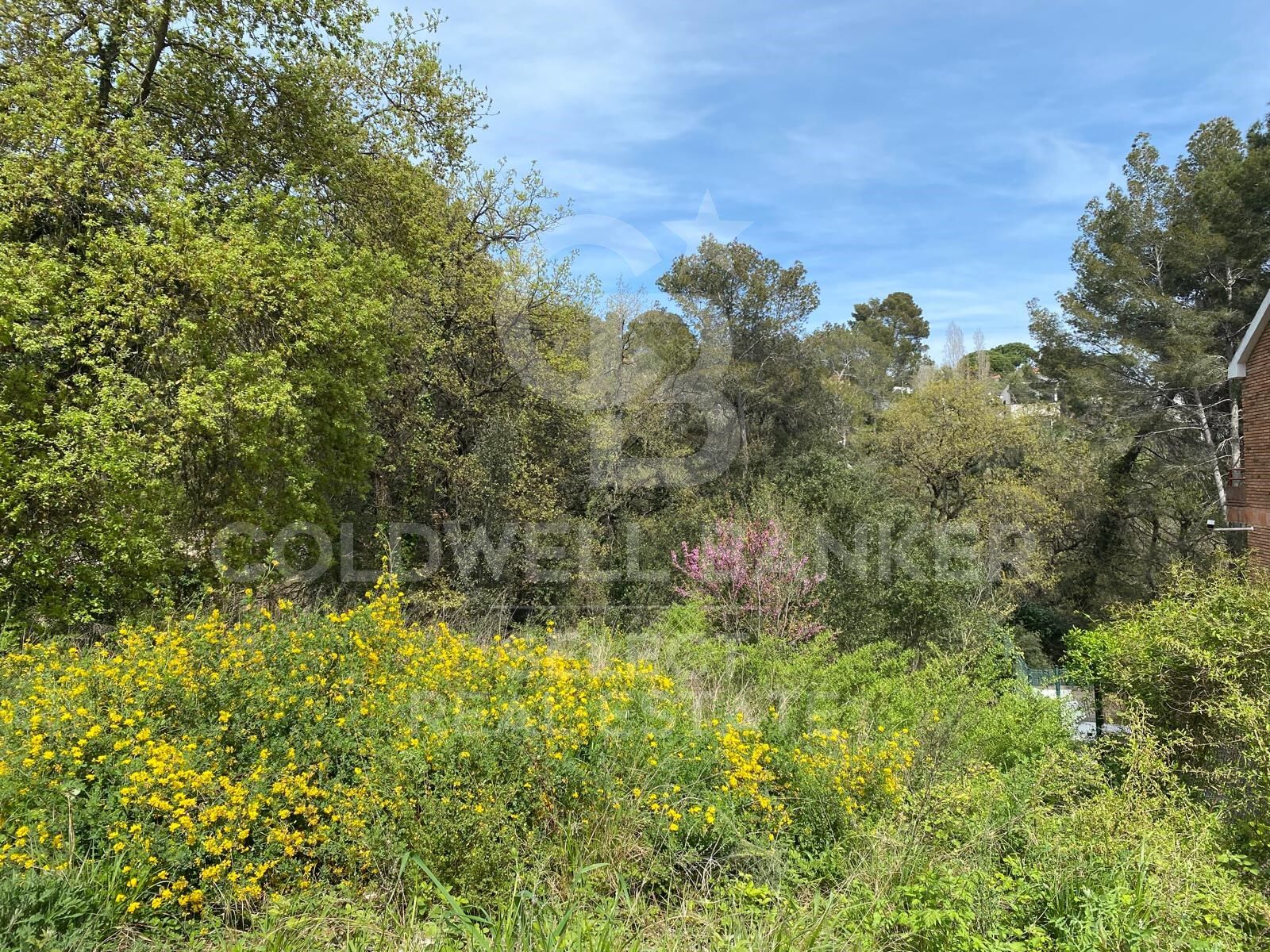 Tontti Cerdanyola Del Valles, Barcelona, Espanja 1065 m2 No. 179106
