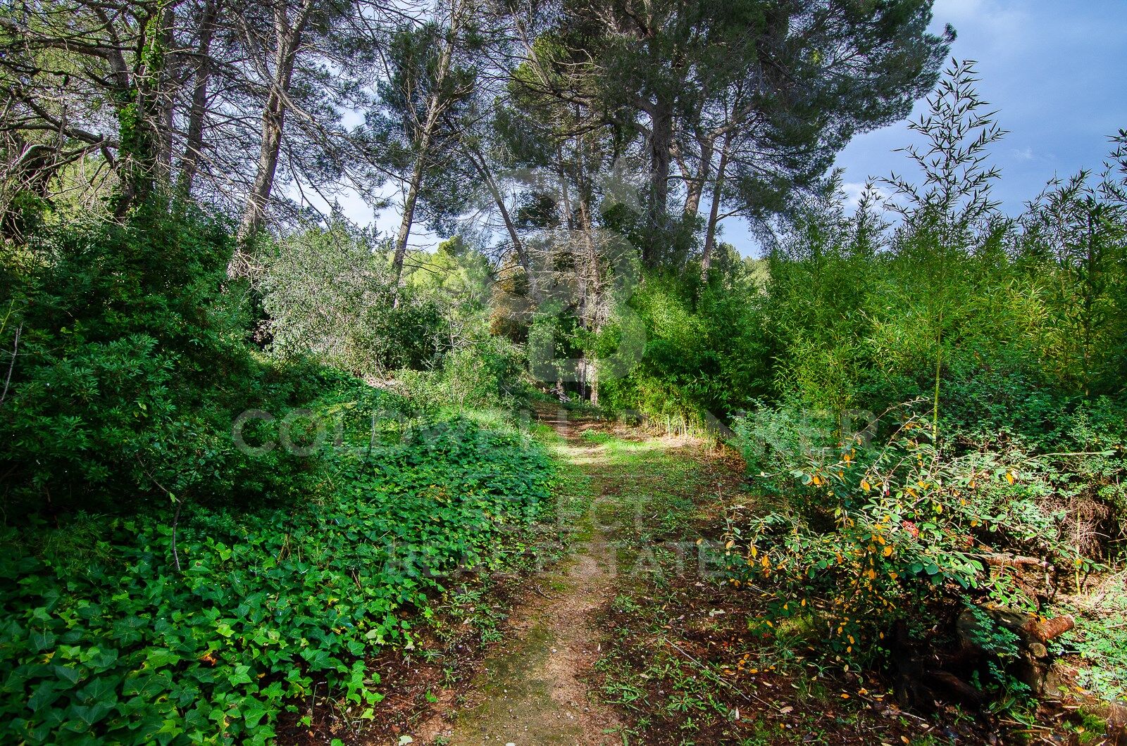 Tomt i Cerdanyola Del Valles, Barcelona, Spanien 2000 kvm. Nr. 179109