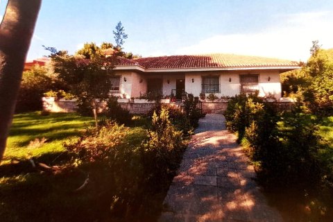 Villa i Torrevieja, Alicante, Spanien 5 sovrum, 98 kvm. Nr. 177592