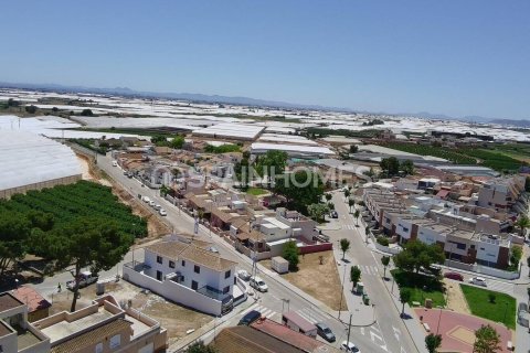 Villa en venta en Pilar de la Horadada, Alicante, España 3 dormitorios, 95 m2 No. 173829 - foto 4