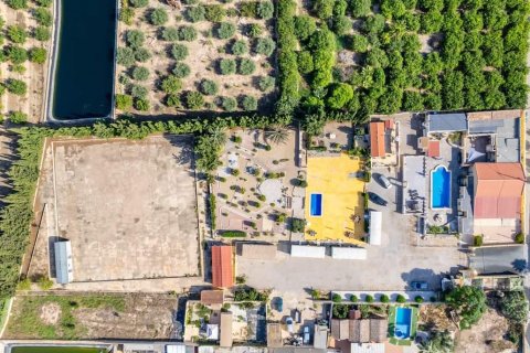 Продажа финки Лос Монтесинос, Аликанте, Испания 3 спальни,  №115559 - фото 2