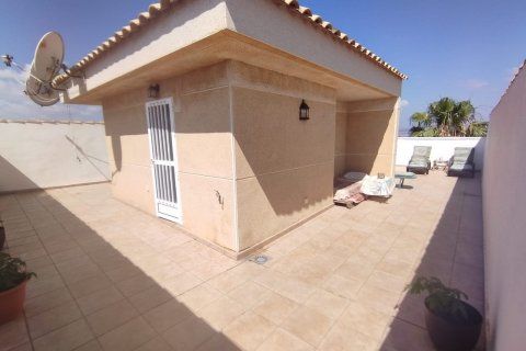 Willa Torrevieja, Alicante, Hiszpania 6 sypialni, 375 mkw. nr 115553 – zdjęcie 4