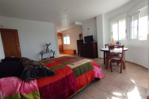 Willa Torrevieja, Alicante, Hiszpania 6 sypialni, 375 mkw. nr 115553 – zdjęcie 24