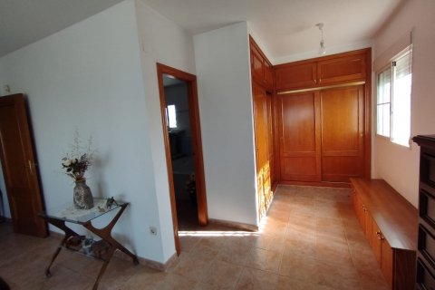 Willa Torrevieja, Alicante, Hiszpania 6 sypialni, 375 mkw. nr 115553 – zdjęcie 21