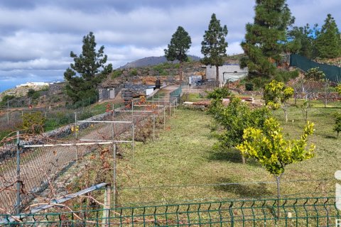 Māja pārdošanā Adeje, Tenerife, Spānijā 3 istabas, 105 m2 Nr. 152425 - attēls 5