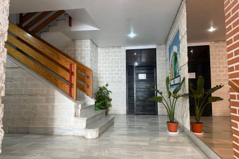 Продажа квартиры в Торревьеха, Аликанте, Испания 2 спальни, 57м2 №189674 - фото 16