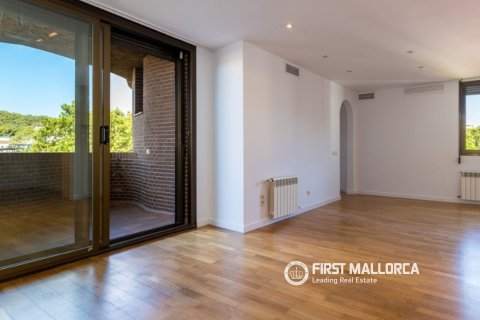 Apartment à louer à Palma de Majorca, Mallorca, Espagne, 3 chambres, 133 m2 No. 194969 - photo 3