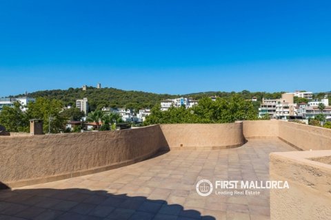 Apartment à louer à Palma de Majorca, Mallorca, Espagne, 3 chambres, 133 m2 No. 194969 - photo 20