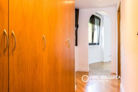 Apartment à louer à Palma de Majorca, Mallorca, Espagne, 3 chambres, 133 m2 No. 194969 - photo 17