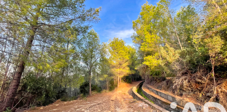 Land plot à Ador, Valencia, Espagne 12880 m2 No. 195148