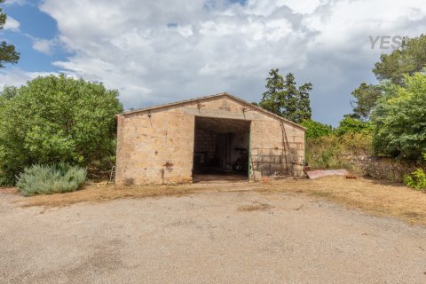 Villa à vendre à Maria De La Salut, Mallorca, Espagne, 11 chambres, 1250 m2 No. 148131 - photo 24
