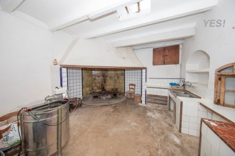 Villa à vendre à Maria De La Salut, Mallorca, Espagne, 11 chambres, 1250 m2 No. 148131 - photo 14