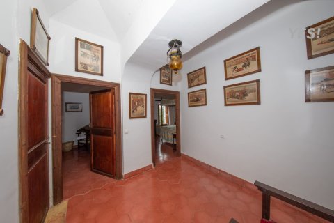 Villa à vendre à Maria De La Salut, Mallorca, Espagne, 11 chambres, 1250 m2 No. 148131 - photo 11