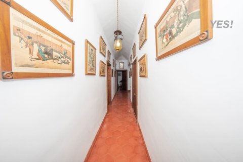 Villa à vendre à Maria De La Salut, Mallorca, Espagne, 11 chambres, 1250 m2 No. 148131 - photo 26