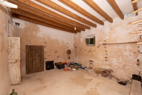 Villa à vendre à Maria De La Salut, Mallorca, Espagne, 11 chambres, 1250 m2 No. 148131 - photo 25