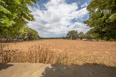 Villa à vendre à Maria De La Salut, Mallorca, Espagne, 11 chambres, 1250 m2 No. 148131 - photo 10