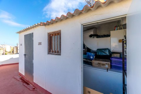 Huoneisto myytävänä Torrevieja, Alicante, Espanja, 3 makuuhuonetta, 101 m2 No. 141474 - kuva 24