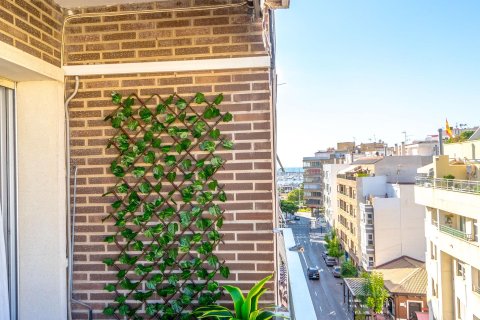 Huoneisto myytävänä Torrevieja, Alicante, Espanja, 3 makuuhuonetta, 101 m2 No. 141474 - kuva 19