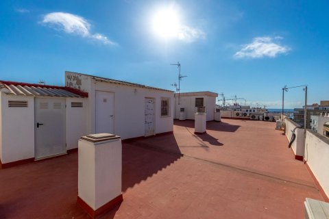 Huoneisto myytävänä Torrevieja, Alicante, Espanja, 3 makuuhuonetta, 101 m2 No. 141474 - kuva 20