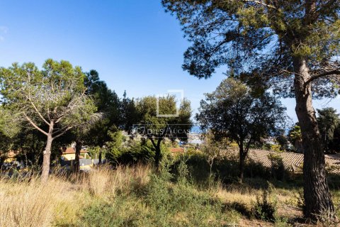 Parcela en venta en Cabrils, Barcelona, España No. 192579 - foto 5