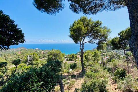 House for sale Tossa de Mar, Girona, Spain 5 bedrooms, 351 sq.m. No. 73104 - photo 15