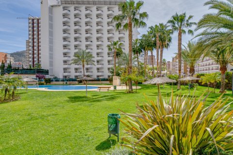 Apartment for sale in Benidorm, Alicante, Spain 1 bedroom, 92 sq.m. No. 165181 - photo 26