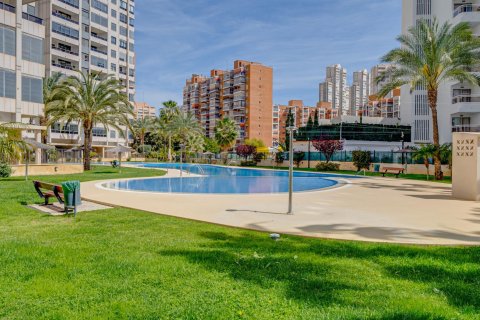Apartment for sale in Benidorm, Alicante, Spain 1 bedroom, 92 sq.m. No. 165181 - photo 27