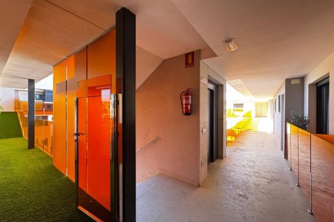 Lägenhet till salu i Torrevieja, Alicante, Spanien 4 sovrum, 361 kvm. Nr. 146648 - foto 2