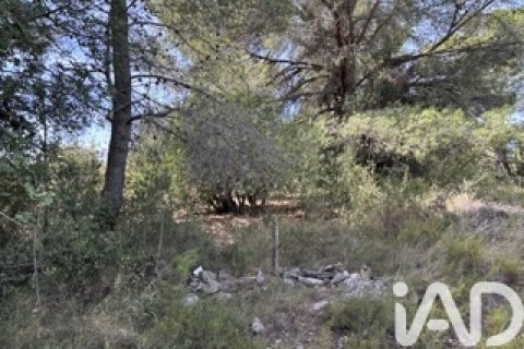 Lokal usługowy w Vallmoll, Tarragona, Hiszpania nr 185310 – zdjęcie 17