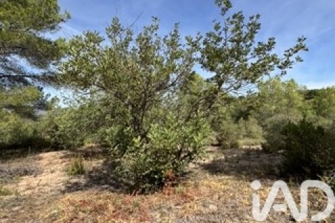 Lokal usługowy w Vallmoll, Tarragona, Hiszpania nr 185310 – zdjęcie 11