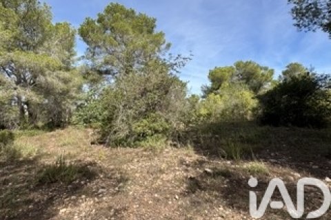 Lokal usługowy w Vallmoll, Tarragona, Hiszpania nr 185310 – zdjęcie 18