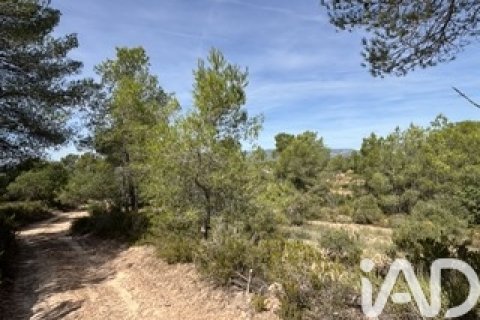 Lokal usługowy w Vallmoll, Tarragona, Hiszpania nr 185310 – zdjęcie 10