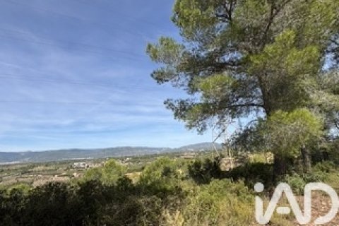 Lokal usługowy w Vallmoll, Tarragona, Hiszpania nr 185310 – zdjęcie 16