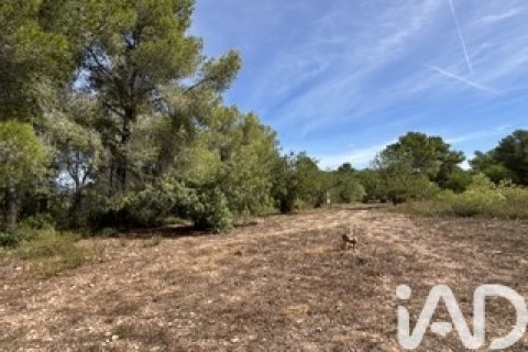 Lokal usługowy w Vallmoll, Tarragona, Hiszpania nr 185310 – zdjęcie 24