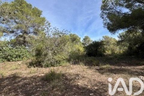 Lokal usługowy w Vallmoll, Tarragona, Hiszpania nr 185310 – zdjęcie 5