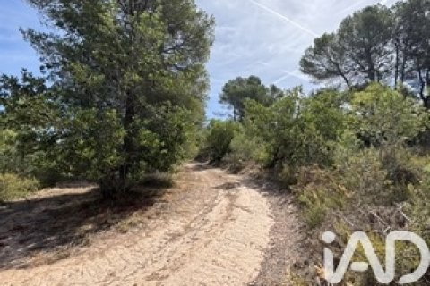 Lokal usługowy w Vallmoll, Tarragona, Hiszpania nr 185310 – zdjęcie 12