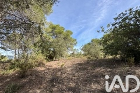 Lokal usługowy w Vallmoll, Tarragona, Hiszpania nr 185310 – zdjęcie 14
