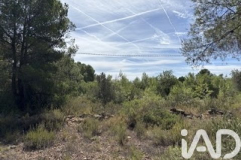 Lokal usługowy w Vallmoll, Tarragona, Hiszpania nr 185310 – zdjęcie 20