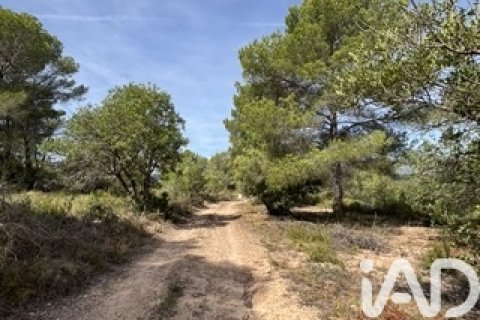 Lokal usługowy w Vallmoll, Tarragona, Hiszpania nr 185310 – zdjęcie 2
