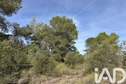 Lokal usługowy w Vallmoll, Tarragona, Hiszpania nr 185310 – zdjęcie 21