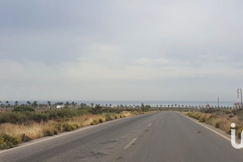 Działka w Almeria, Hiszpania 1291 mkw. nr 185313 – zdjęcie 2